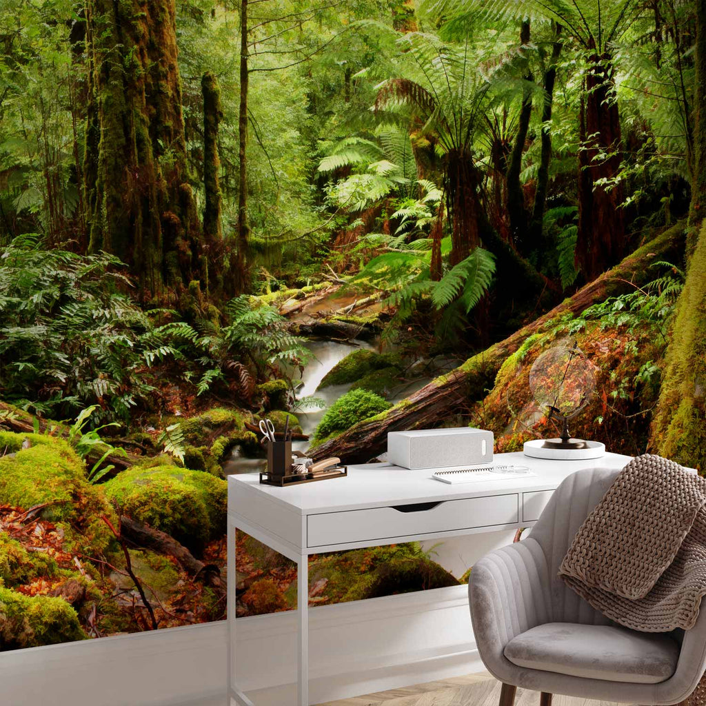 Forest Brook Waterfall Landscape Wall Mural