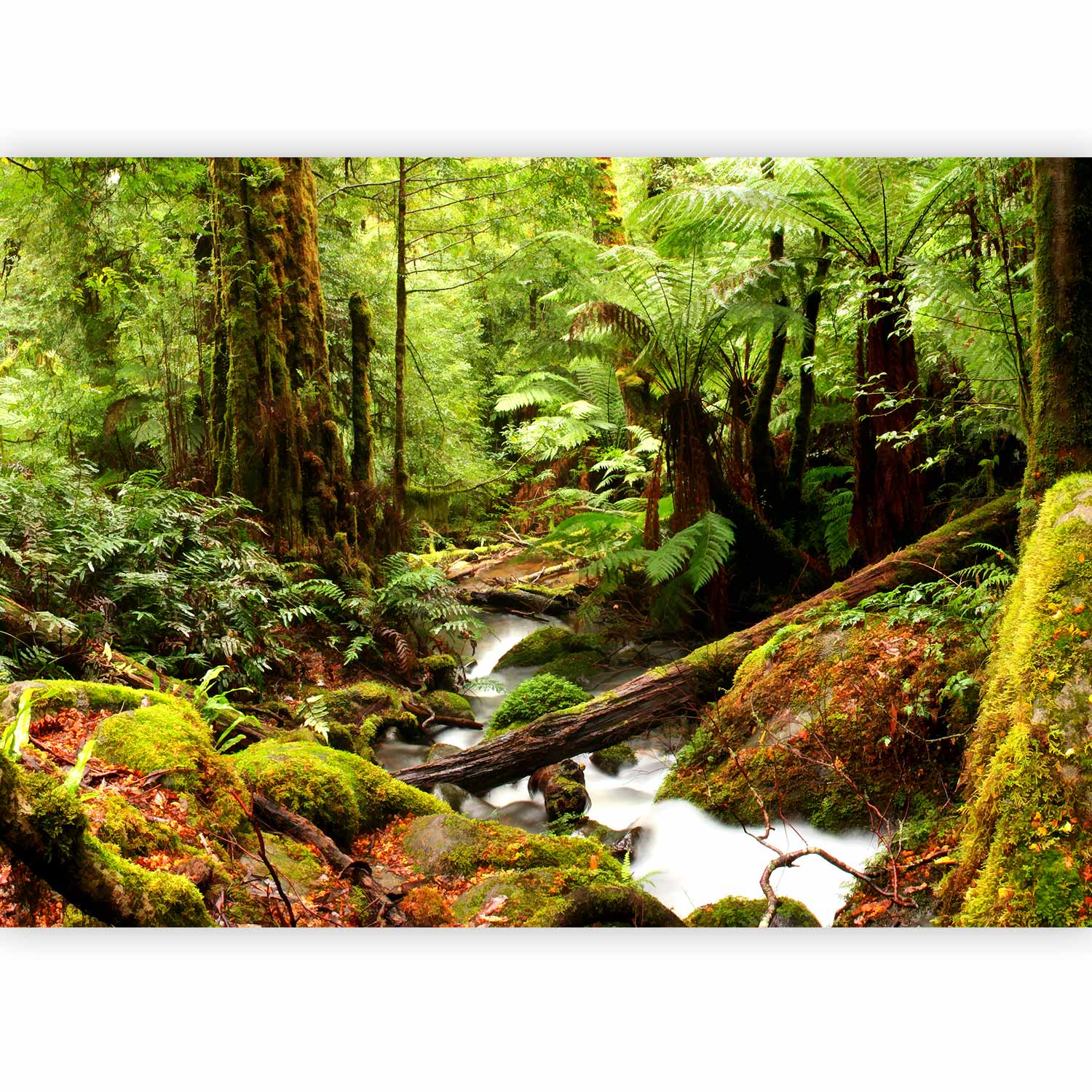 Forest Brook Waterfall Landscape Wall Mural