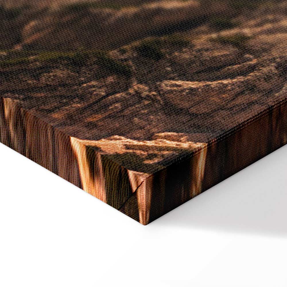 Mountain Horizon Landscape Canvas Print