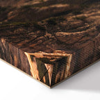 Mountain Horizon Landscape Canvas Print