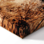 Lantern on Sea Cliff Landscape Canvas Print