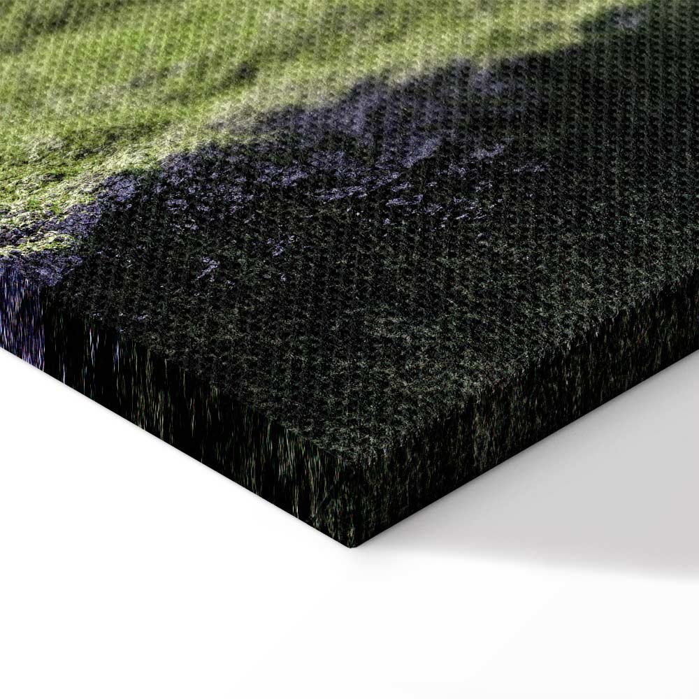 Tree Above Clouds Landscape Canvas Print