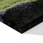 Tree Above Clouds Landscape Canvas Print