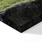 Tree Above Clouds Landscape Canvas Print