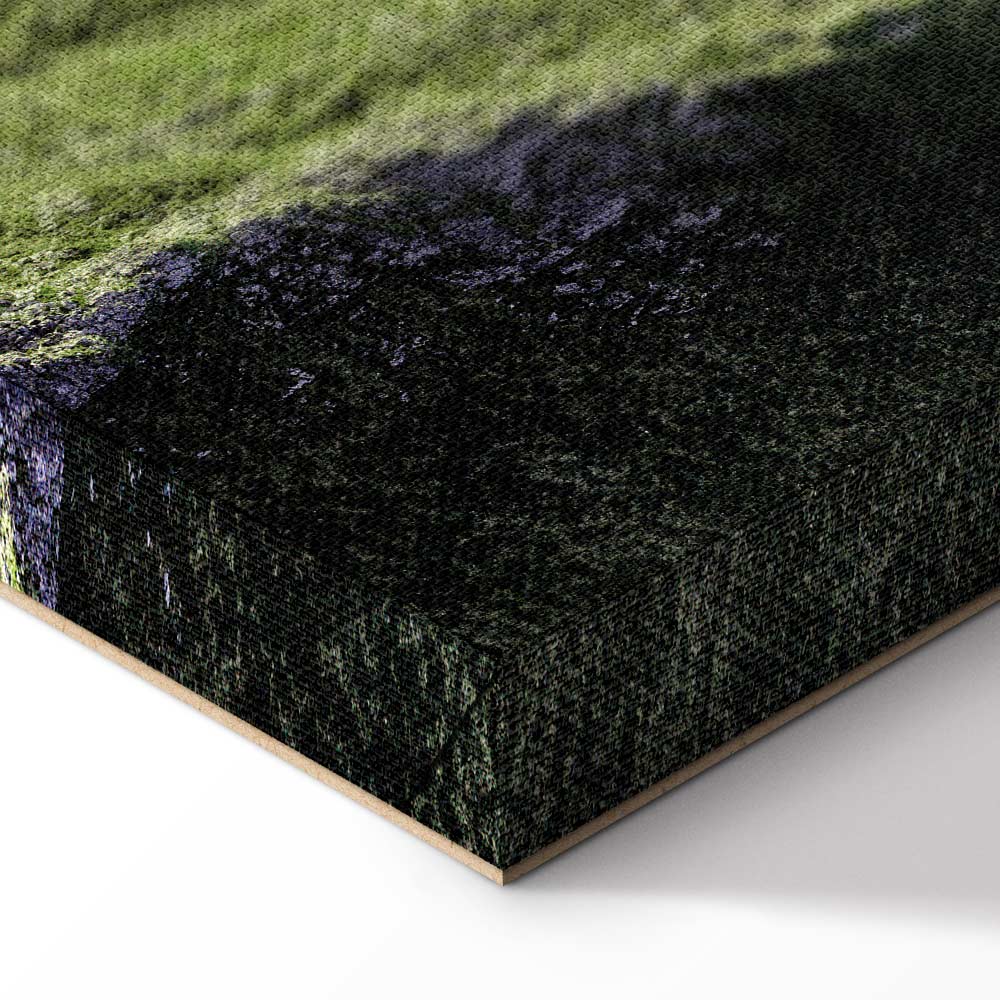 Tree Above Clouds Landscape Canvas Print