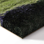 Tree Above Clouds Landscape Canvas Print