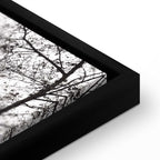 Lakeside Tree Haven Landscape Canvas Print