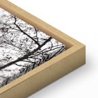 Lakeside Tree Haven Landscape Canvas Print