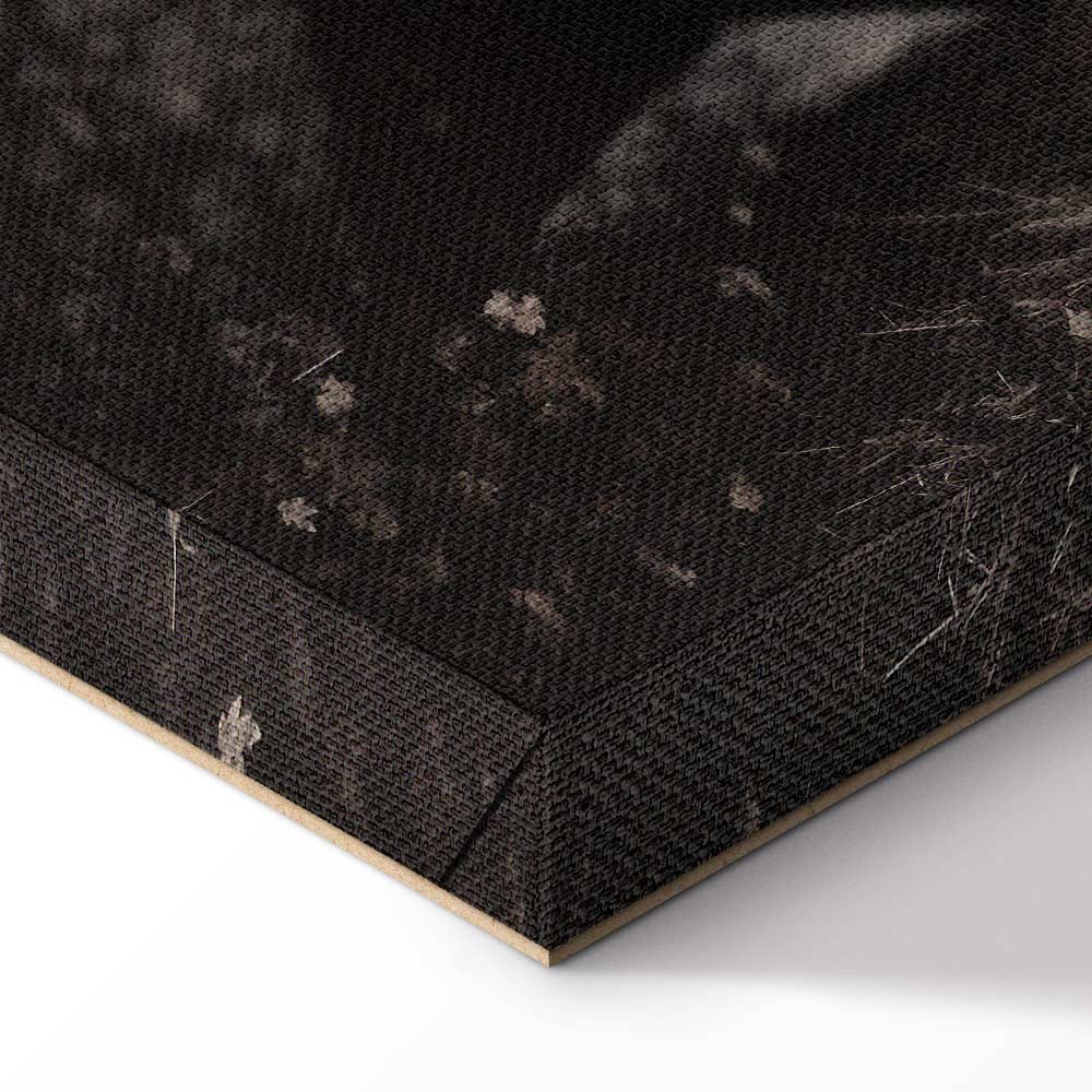 Lakeside Tree Haven Landscape Canvas Print