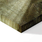 Road Across Plains Landscape Canvas Print