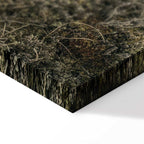 Lakeshore Trees Landscape Canvas Print