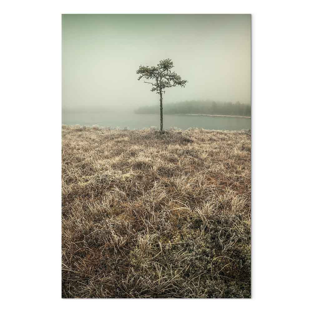Lakeshore Trees Landscape Canvas Print