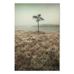 Lakeshore Trees Landscape Canvas Print