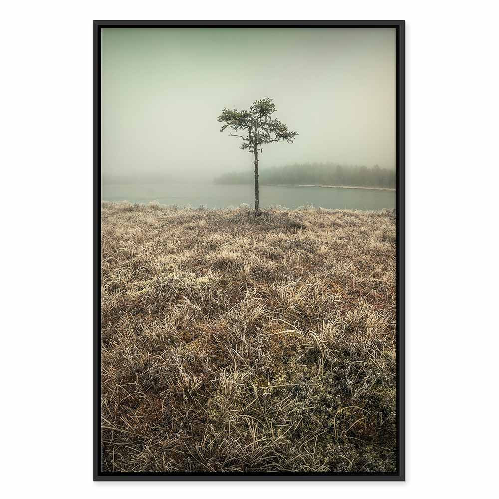 Lakeshore Trees Landscape Canvas Print