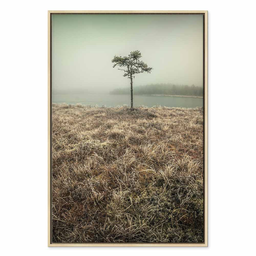 Lakeshore Trees Landscape Canvas Print