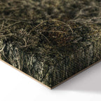 Lakeshore Trees Landscape Canvas Print