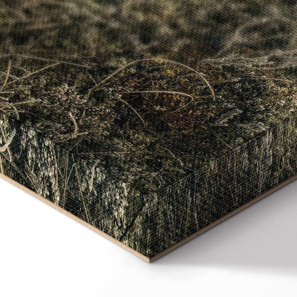 Lakeshore Trees Landscape Canvas Print