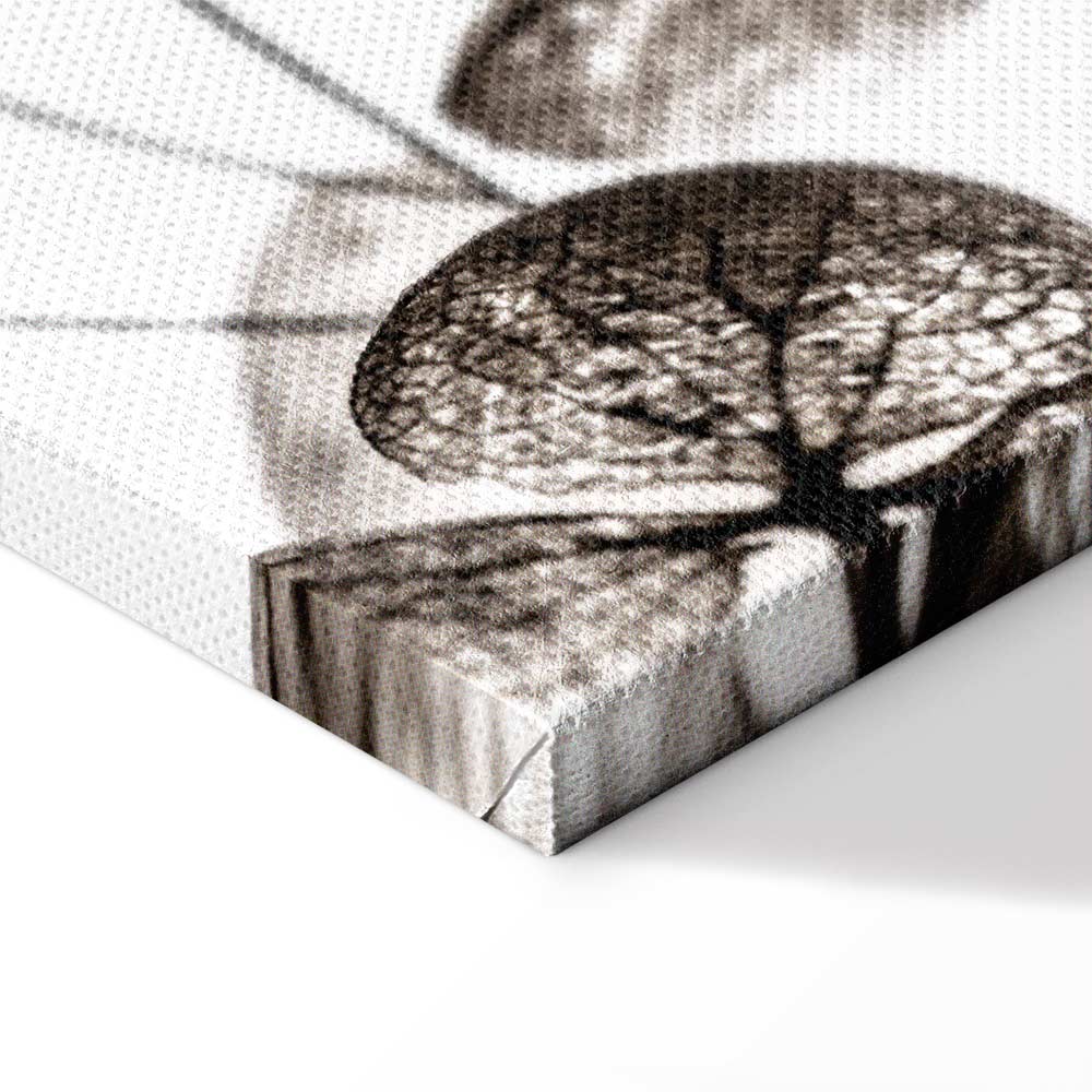 Transparent Clover Floral Canvas Print