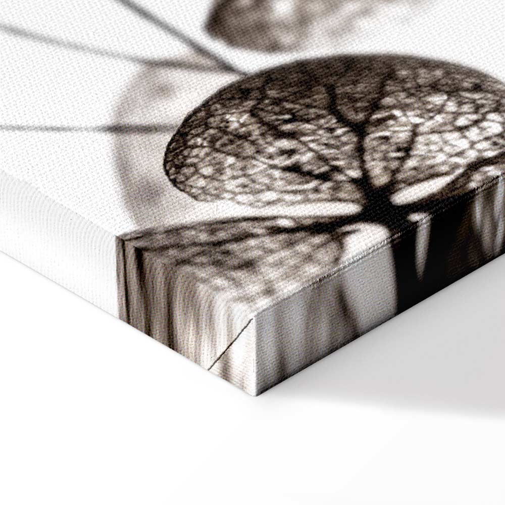 Transparent Clover Floral Canvas Print