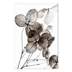 Transparent Clover Floral Canvas Print