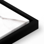 Transparent Clover Floral Canvas Print