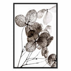 Transparent Clover Floral Canvas Print