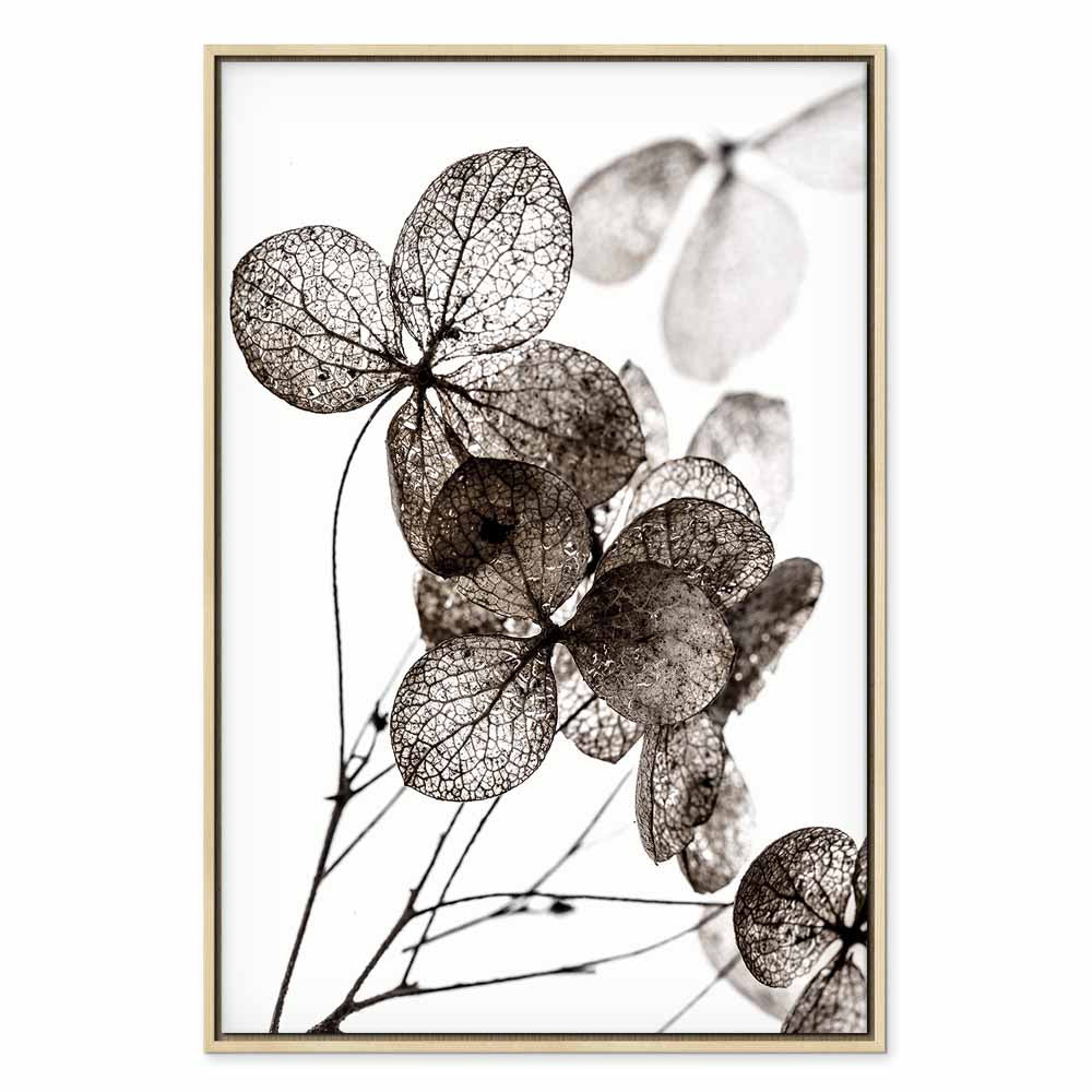 Transparent Clover Floral Canvas Print