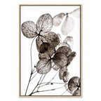 Transparent Clover Floral Canvas Print