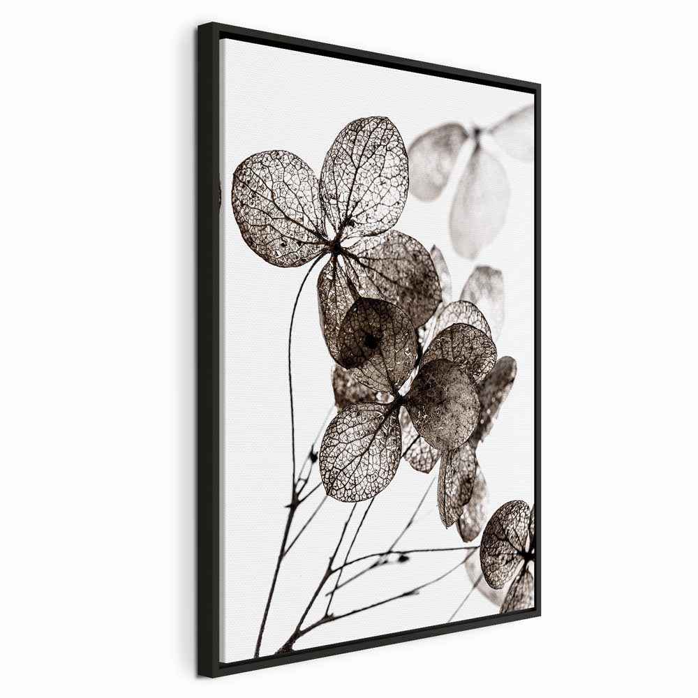 Transparent Clover Floral Canvas Print