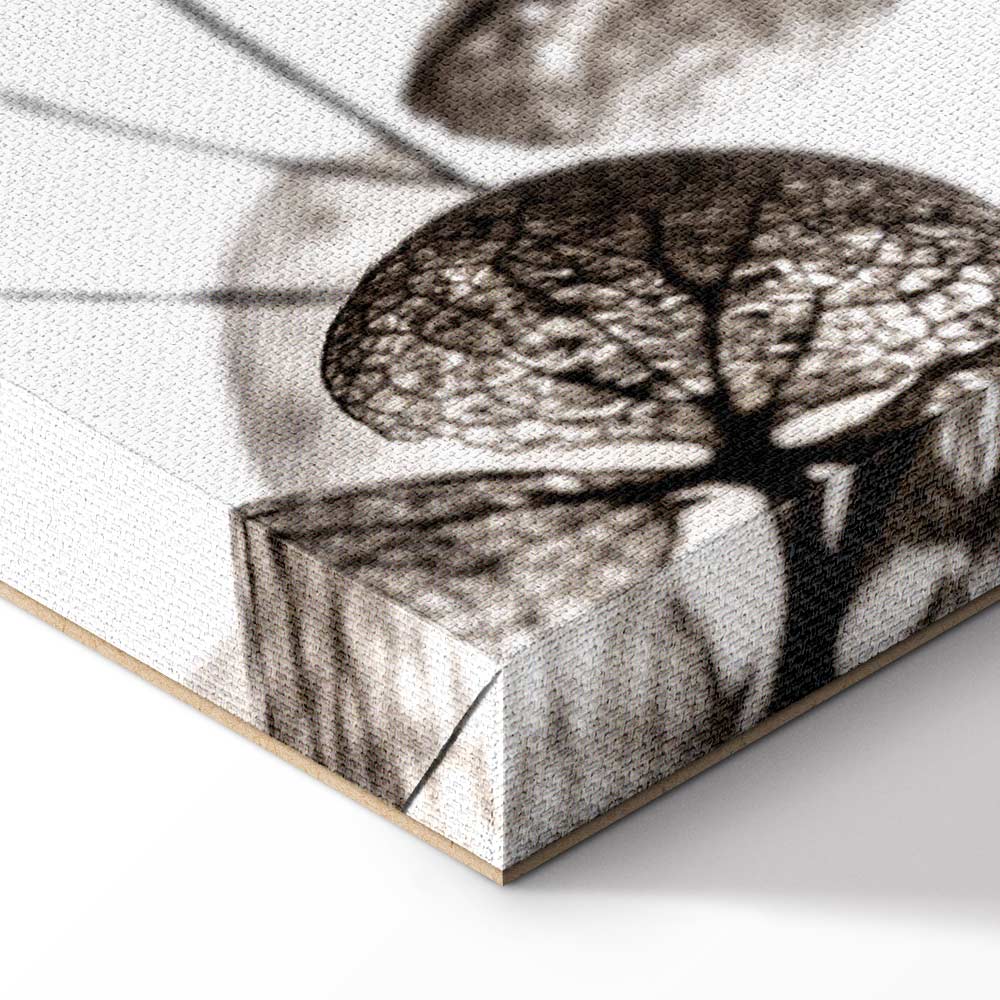 Transparent Clover Floral Canvas Print