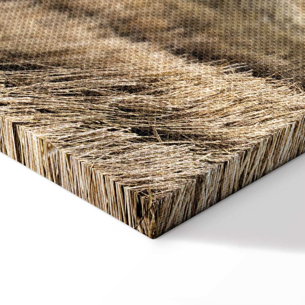 Hay Field Nature Landscape Canvas Print