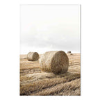 Hay Field Nature Landscape Canvas Print