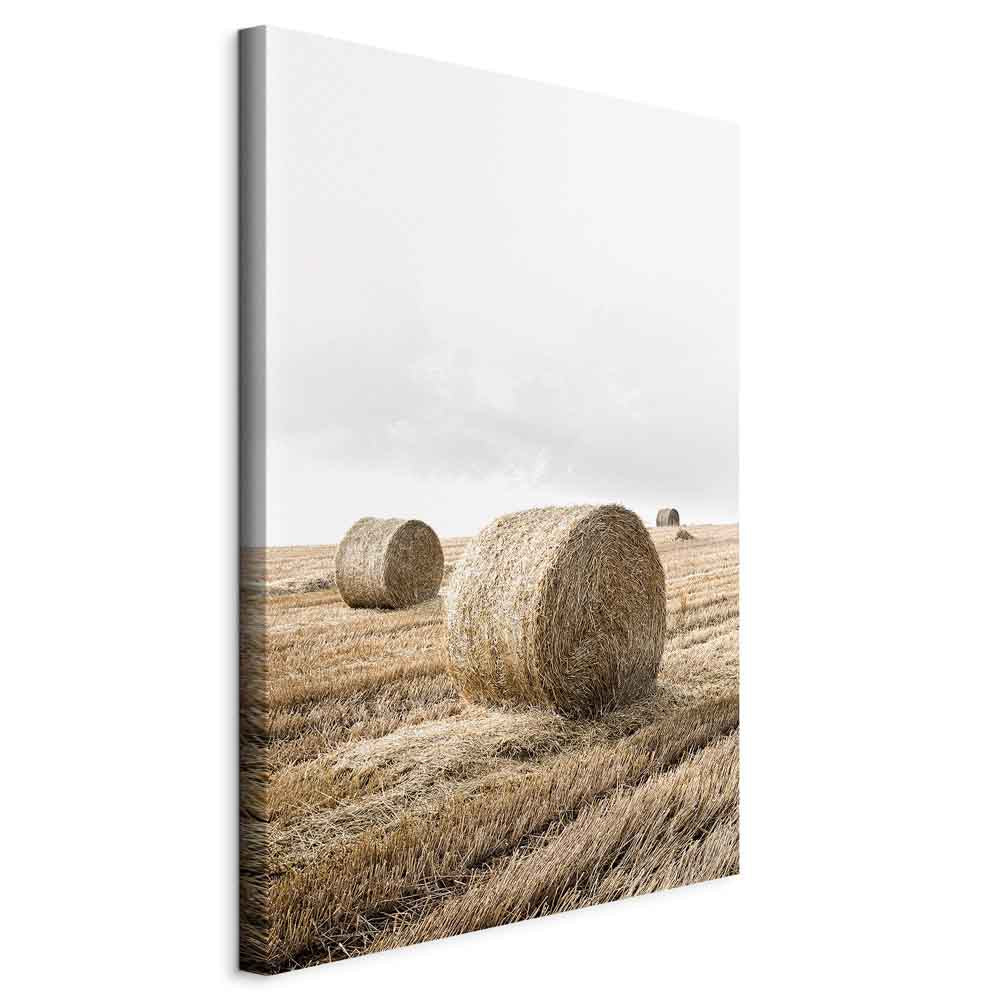 Hay Field Nature Landscape Canvas Print