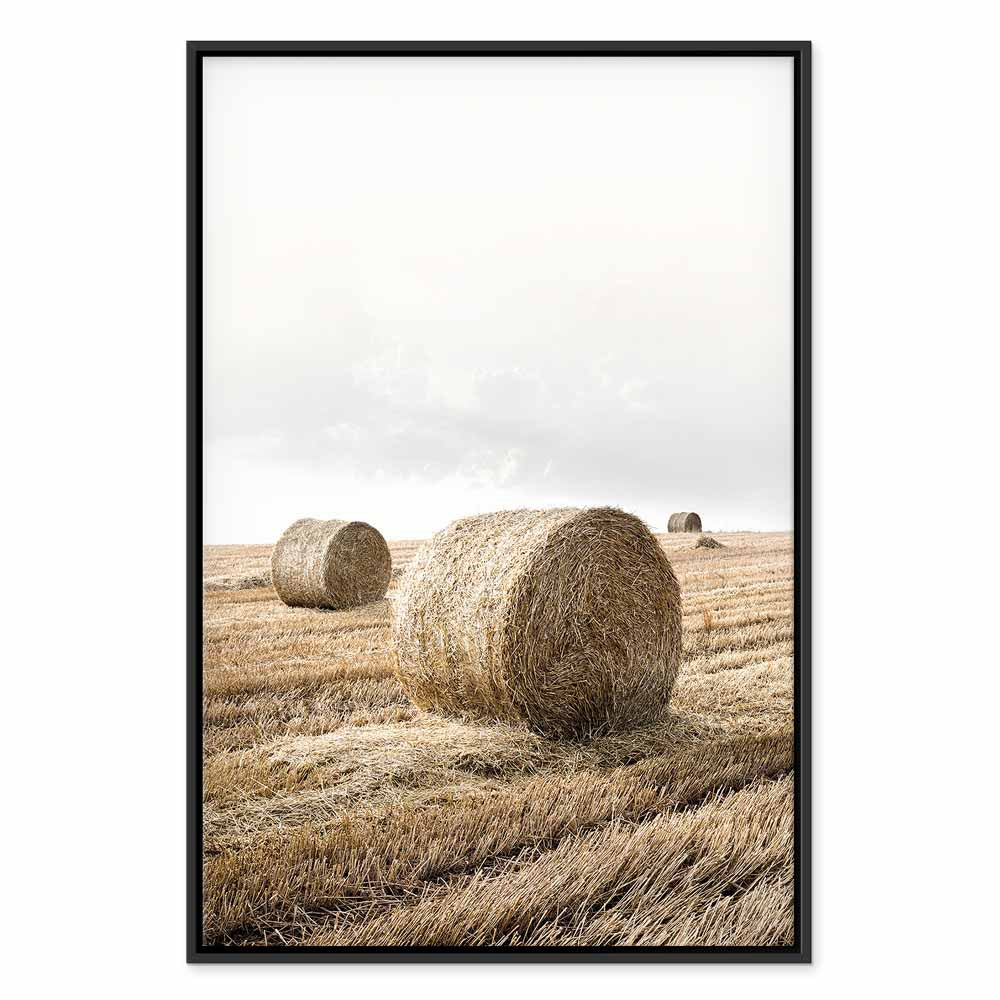 Hay Field Nature Landscape Canvas Print