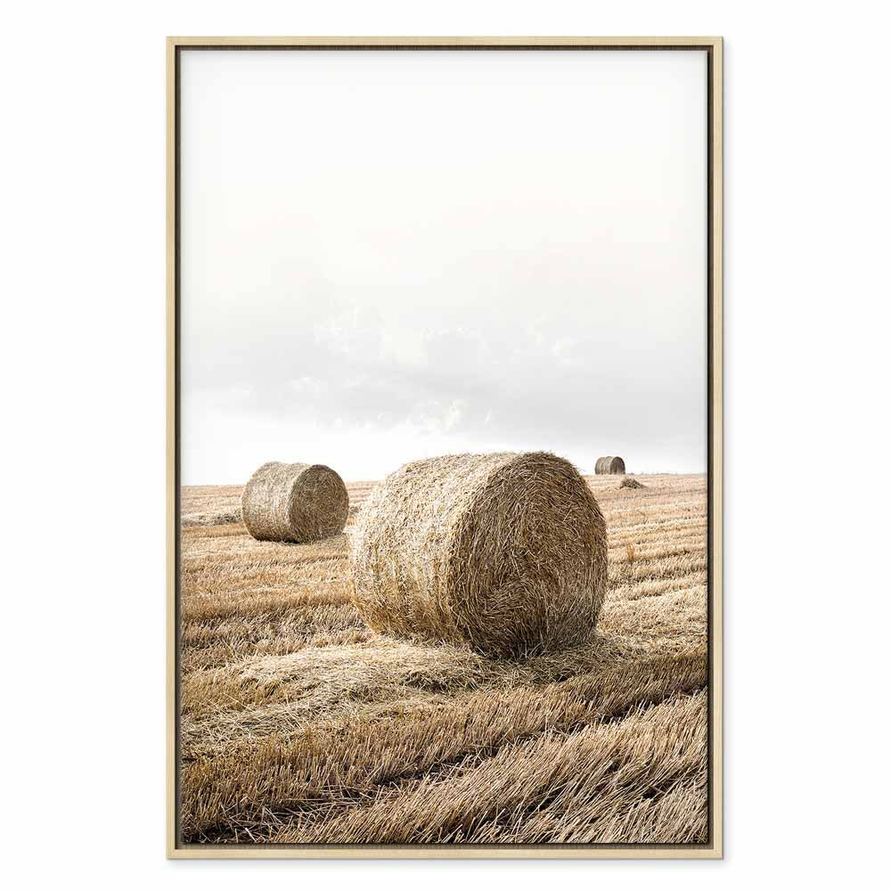 Hay Field Nature Landscape Canvas Print