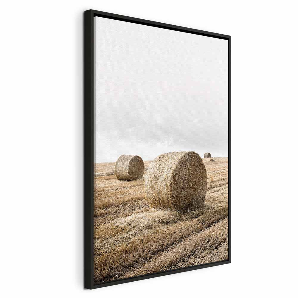 Hay Field Nature Landscape Canvas Print