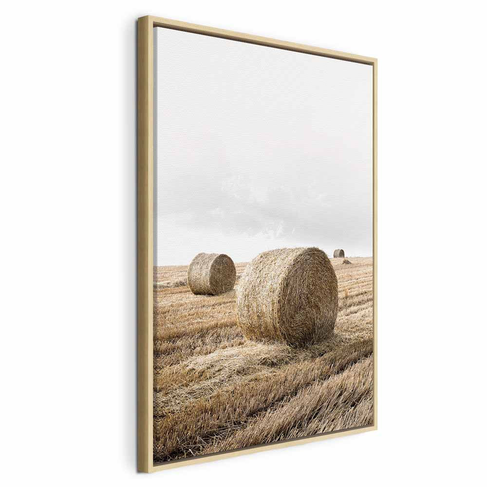Hay Field Nature Landscape Canvas Print