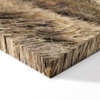 Hay Field Nature Landscape Canvas Print