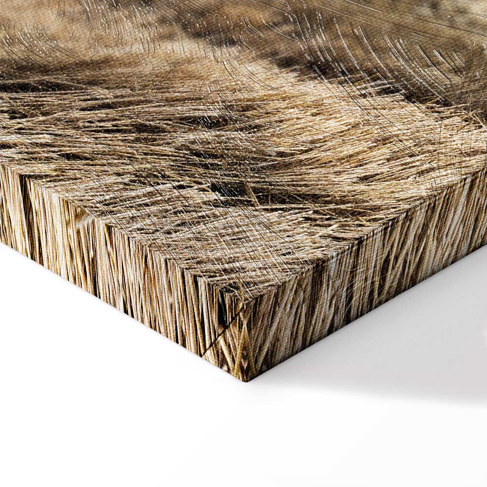 Hay Field Nature Landscape Canvas Print