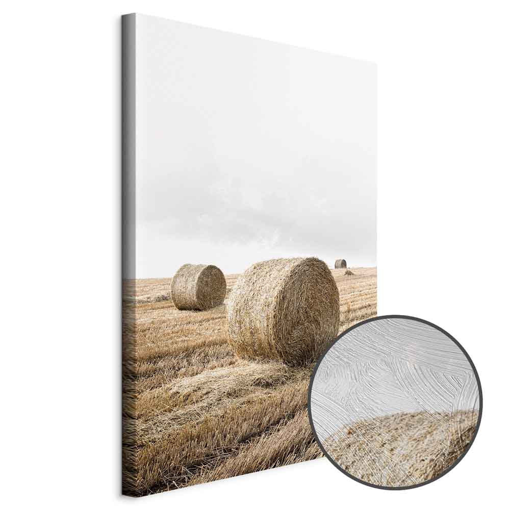 Hay Field Nature Landscape Canvas Print