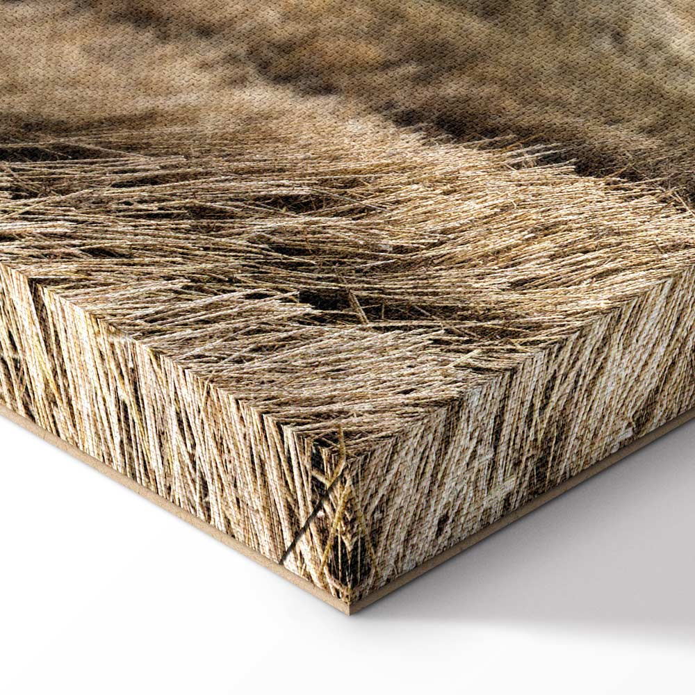 Hay Field Nature Landscape Canvas Print