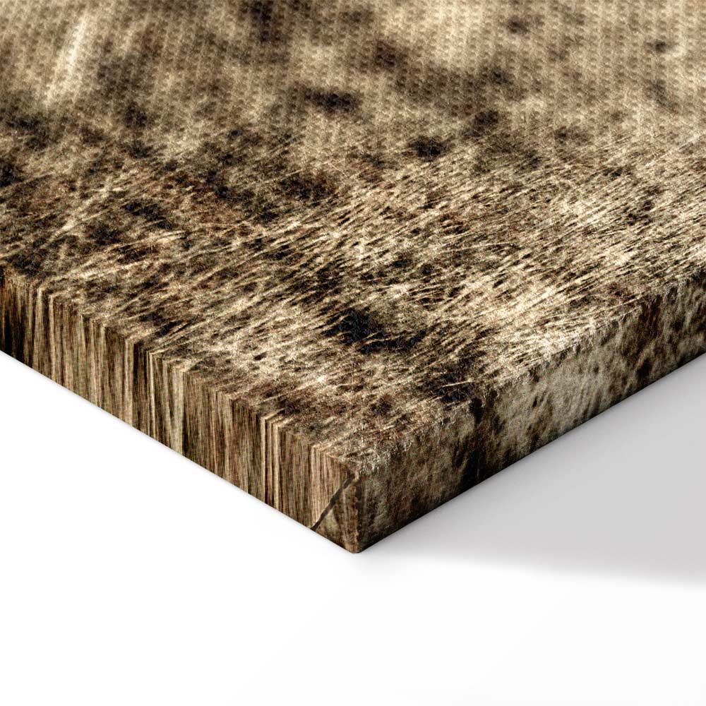 Abandoned Ranch Rustic Landscape Canvas Print