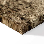 Abandoned Ranch Rustic Landscape Canvas Print