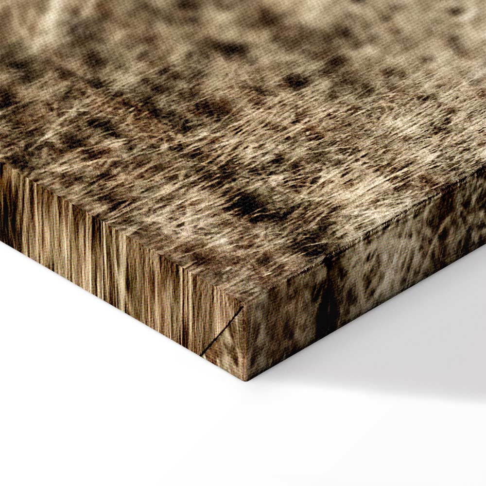 Abandoned Ranch Rustic Landscape Canvas Print