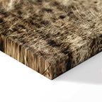 Abandoned Ranch Rustic Landscape Canvas Print