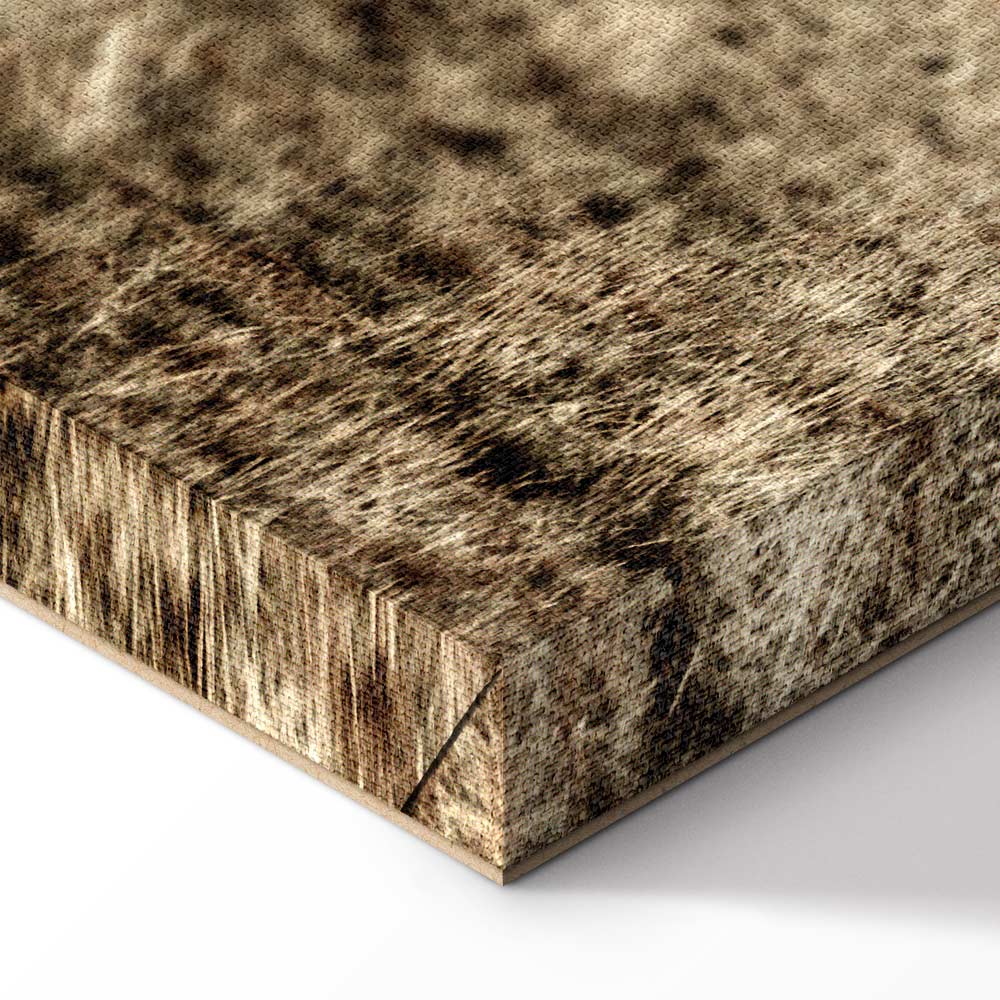 Abandoned Ranch Rustic Landscape Canvas Print