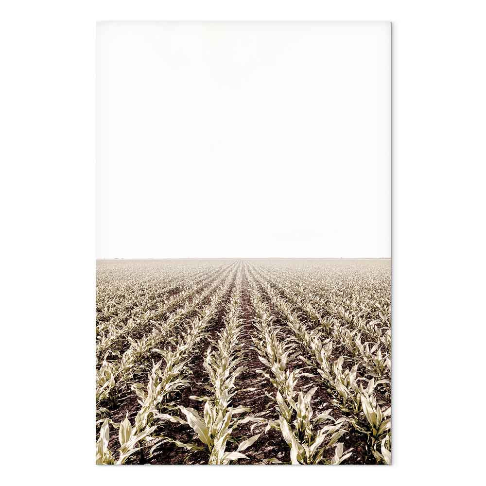 Corn Field Landscape Vertical Canvas Print
