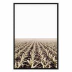 Corn Field Landscape Vertical Canvas Print