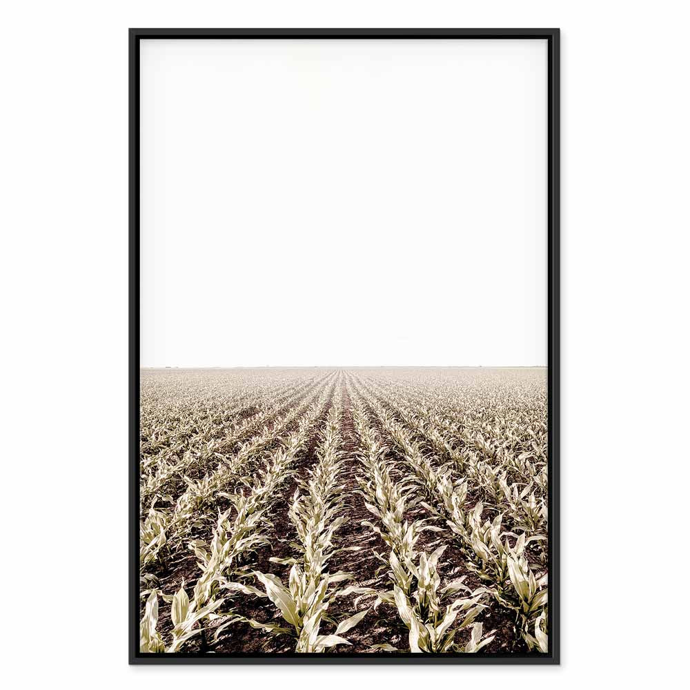 Corn Field Landscape Vertical Canvas Print
