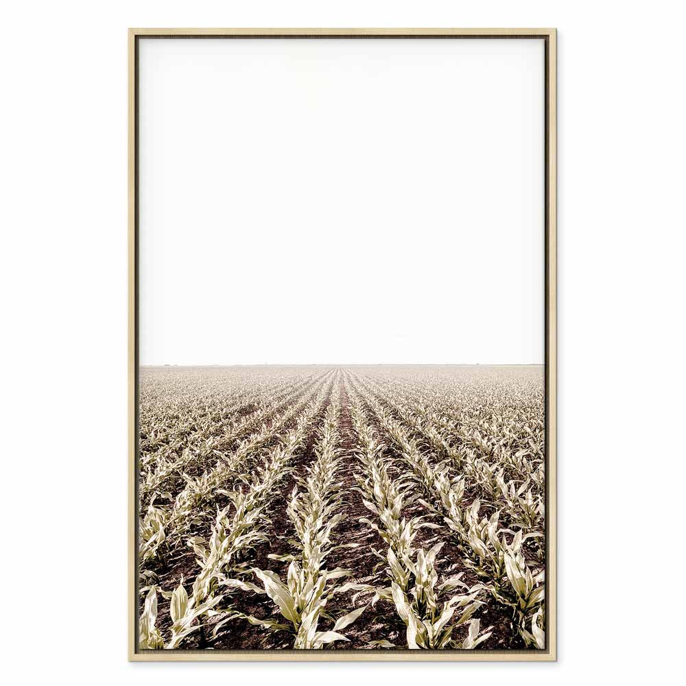 Corn Field Landscape Vertical Canvas Print